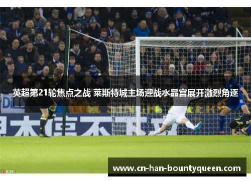 英超第21轮焦点之战 莱斯特城主场迎战水晶宫展开激烈角逐