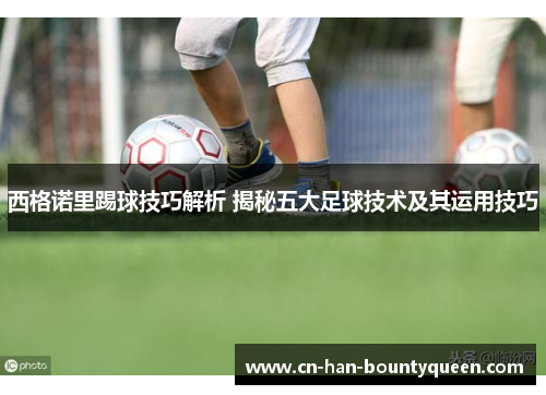 西格诺里踢球技巧解析 揭秘五大足球技术及其运用技巧