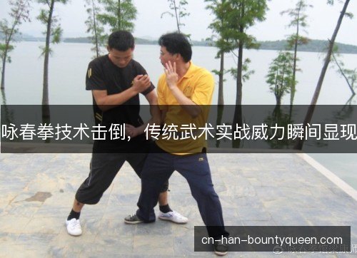 咏春拳技术击倒，传统武术实战威力瞬间显现